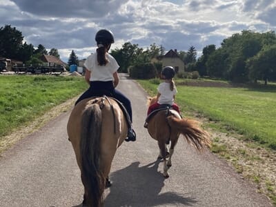 Balade à Poney pour Enfant près de Troyes