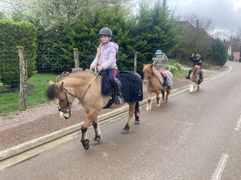 Enfants à poney en file indienne en bord de route