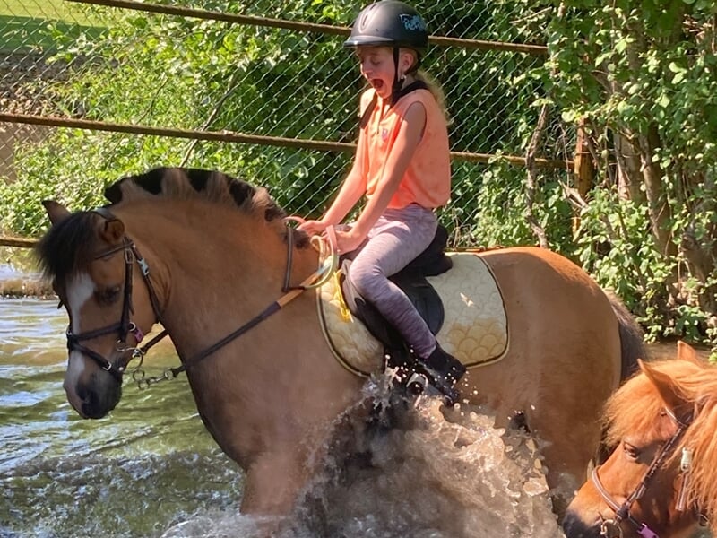 Enfant traversant une rivière à poney