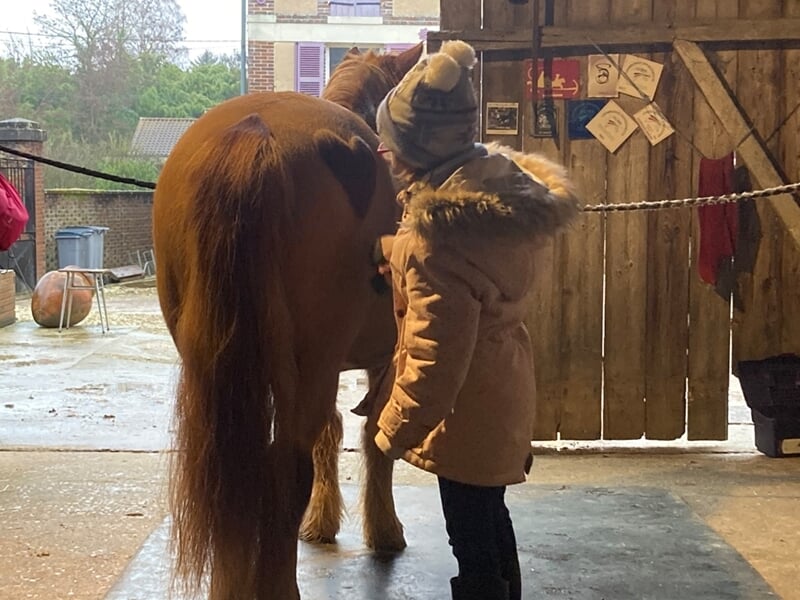 Enfant en train de brosser un poney