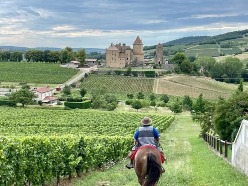 Cavalier descendant un chemin bordé de vignes avec un château médiéval et des bâtiments au cœur d'un paysage viticole.