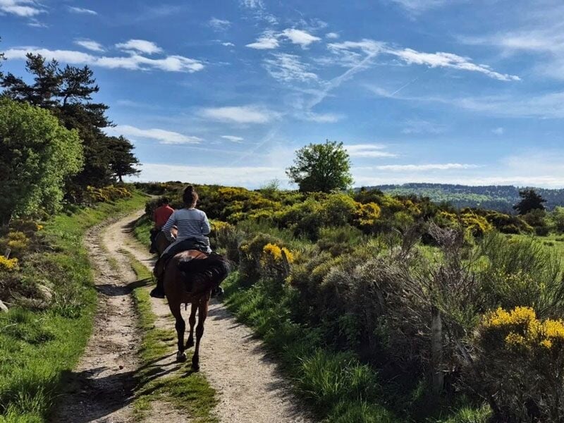 Personne à cheval sur un chemin de campagne entouré de buissons et d'arbres sous un ciel partiellement nuageux.