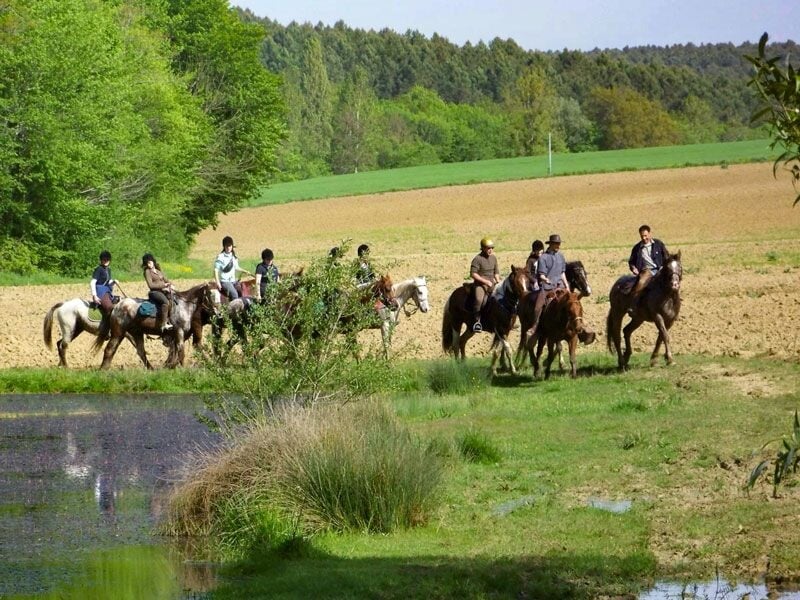 Groupe de cavaliers traversant un champ cultivé avec des arbres et un ciel bleu clair.