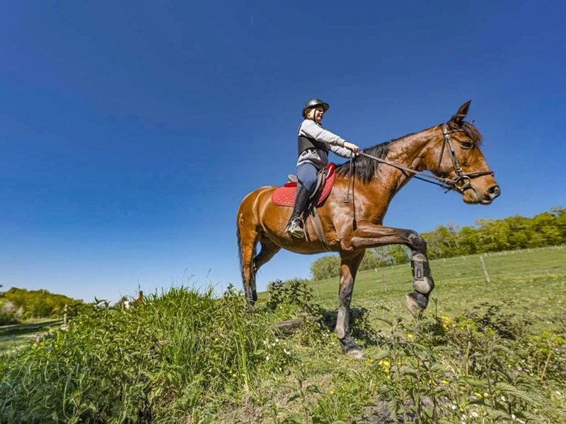 Cavalière en tenue et casque montant un cheval au galop dans un champ verdoyant sous un ciel bleu clair.
