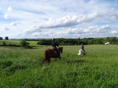 Balade à Cheval près d'Albi - Cahuzac-sur-Vère