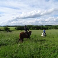 avis Balade à Cheval près d'Albi - Cahuzac-sur-Vère