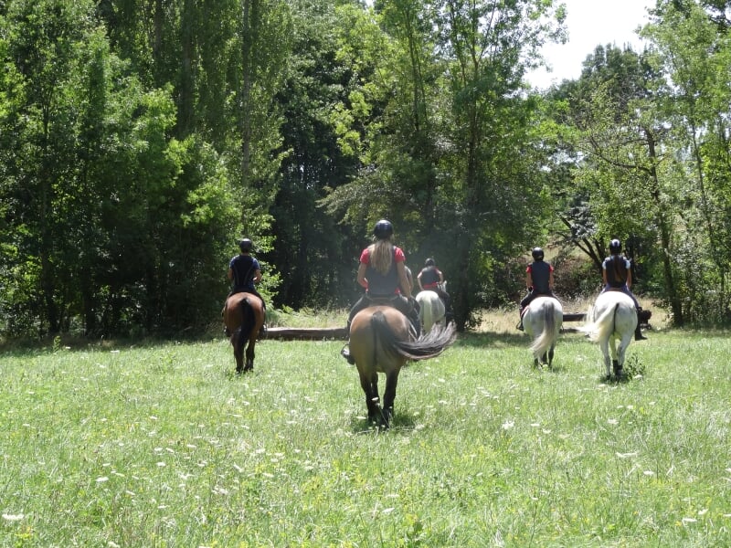 Groupe de cavaliers avançant en file dans un pré luxuriant bordé d'arbres, guidés par une personne en rouge, sous un soleil éclatant.