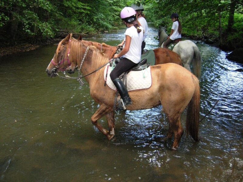 Cavalière traversant une rivière à cheval, équipement d'équitation complet, casque rose et nature verdoyante environnante.