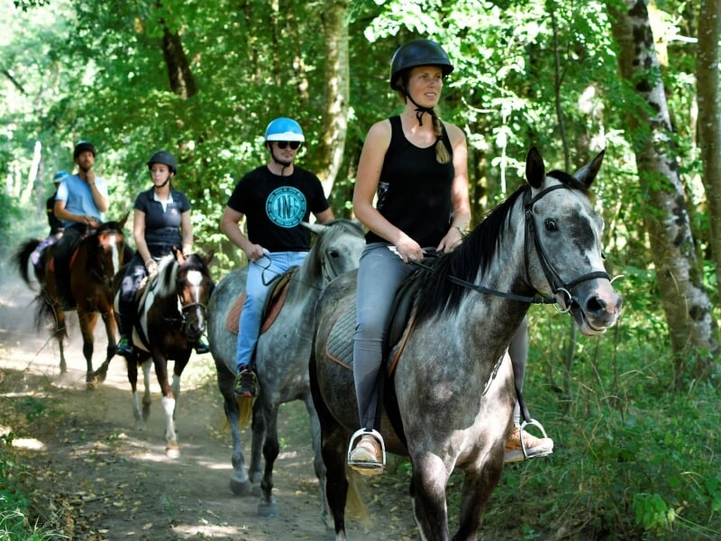 Groupe de quatre cavaliers en balade équestre sur un chemin forestier, dominé par la verdure des arbres et la lumière filtrante. En tête, une femme sur un cheval gris arborant une allure décontractée 