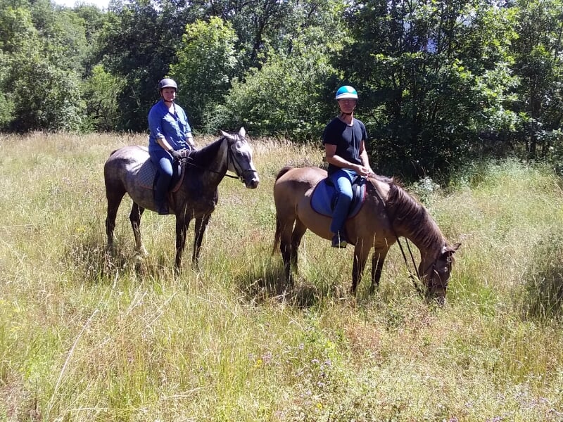 Deux cavaliers, une femme et un homme, sont assis paisiblement sur leurs chevaux dans une prairie ensoleillée, parsemée d'herbes hautes et de fleurs sauvages. Les chevaux, un gris et un beige, brouten