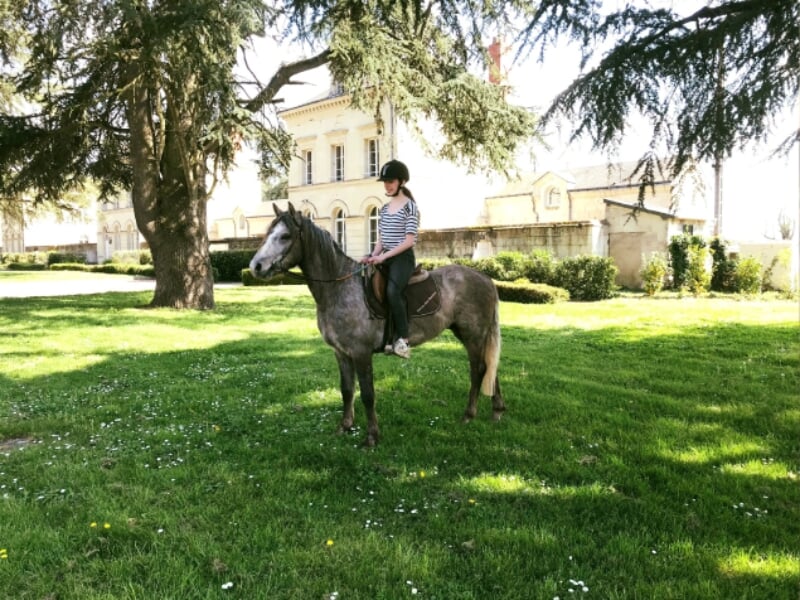 Une jeune cavalière portant un t-shirt rayé et un casque noir monte un cheval gris dans un parc verdoyant devant une grande demeure de style classique avec des drapeaux. Le sol est parsemé de petites 