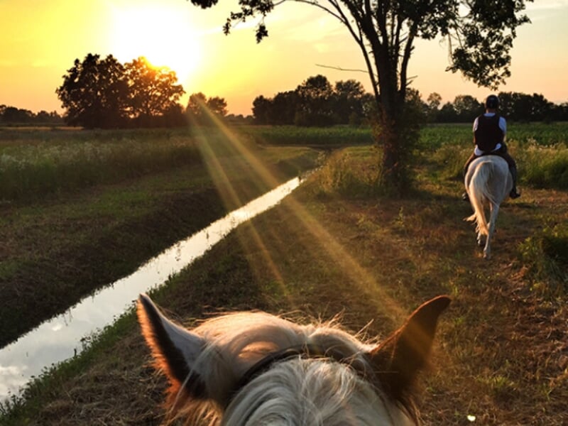 Vue depuis le dos d'un cheval gris vers un paysage champêtre au coucher du soleil. Deux cavaliers avancent le long d'un canal, entourés de champs et d'arbres, sous un ciel orangé. La lumière du soleil