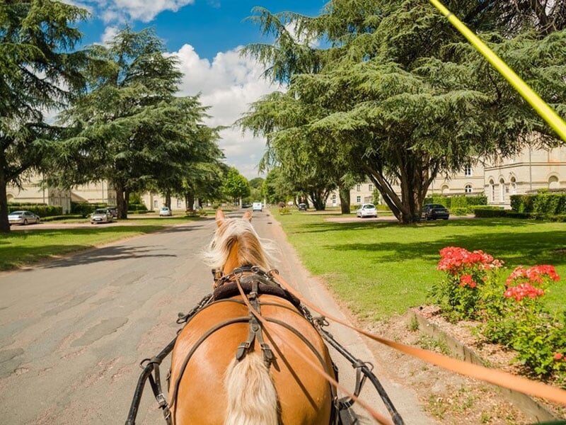 Vue depuis une calèche tirée par un cheval brun clair, avançant sur une allée bordée de pelouses, de grands arbres et de bâtiments en pierre à l’architecture classique. Des fleurs rouges égayent le pr