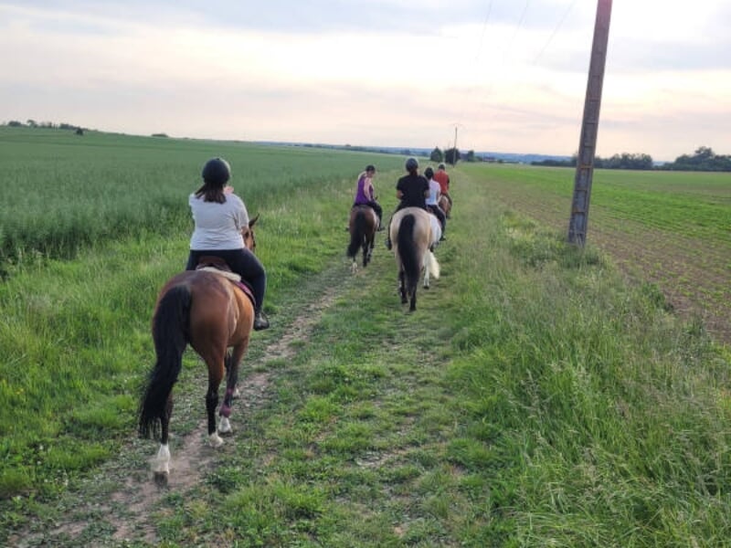 Des cavaliers suivent un sentier herbeux entre des champs ouverts à la tombée de la journée. La lumière douce du crépuscule met en valeur la tranquillité du paysage rural. Les chevaux, de diverses cou