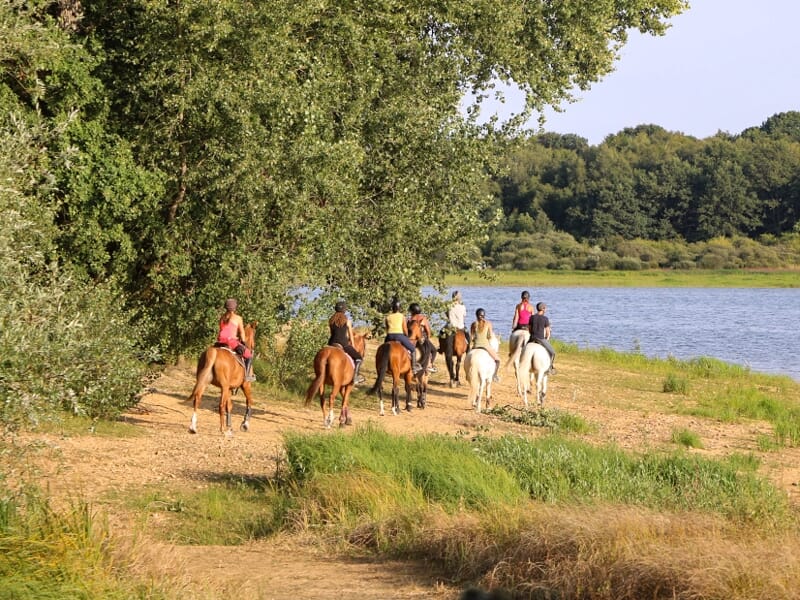 Groupe de cavaliers chevauchant au bord d'une rivière dans un paysage verdoyant et ensoleillé.