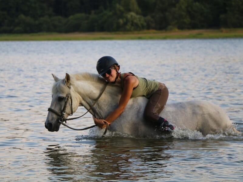 Femme en tenue d'équitation câlinant son cheval blanc dans l'eau calme d'une rivière.