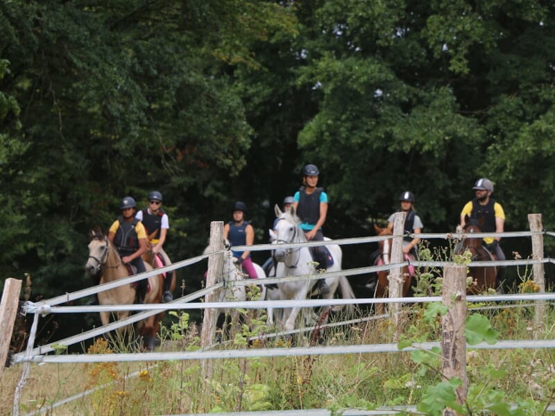 Cavaliers en file indienne traversant un chemin boisé avec des barrières en bois.