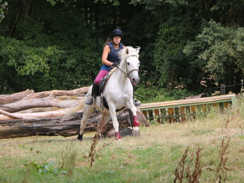 Cavalière en tenue sportive sautant un obstacle en bois à cheval dans un cadre naturel vert.