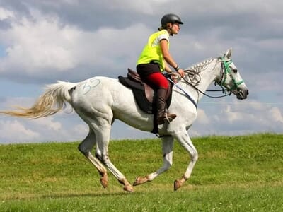 Balade à Cheval près de Cergy-Pontoise