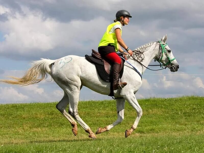 Cavalière portant un gilet jaune au galop dans un pré avec un ciel nuaugeux en toile de fond