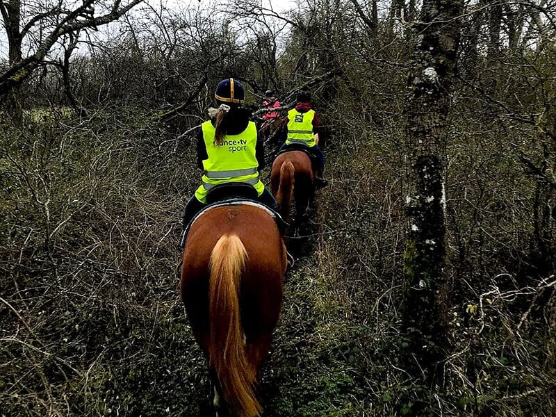 Cavalière de dos en train suivre un sentier de ranonnée dans un sous-bois