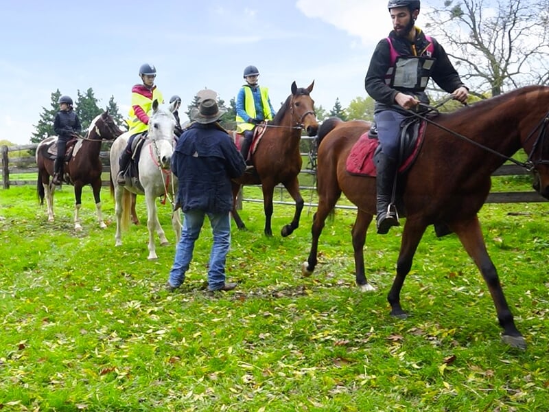 Groupe de cavaliers chevauchant au pas dans un pré par une journée ensoleillée