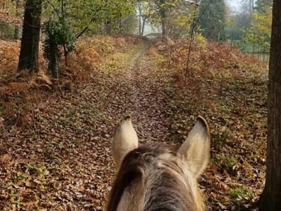 Balade à Cheval près de Rambouillet - Longvilliers