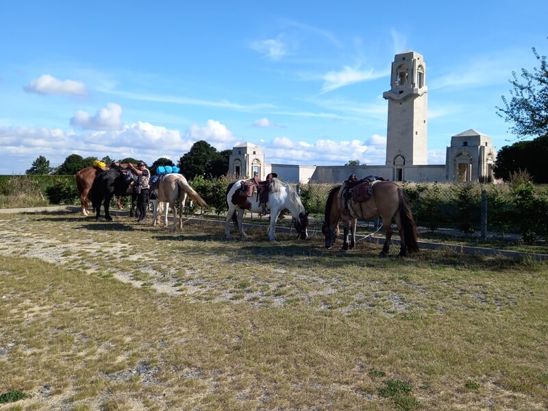 Groupe de chevaux prêts pour la balade