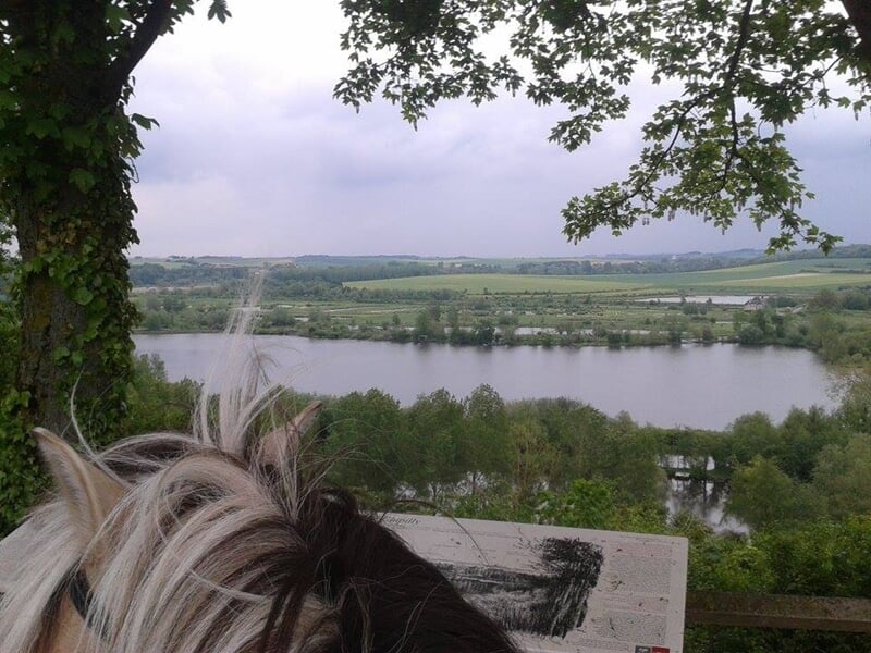 Vue sur les paysages de somme à cheval