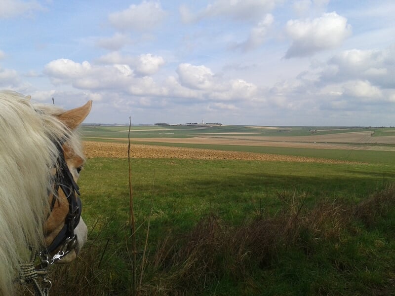 Vue sur les champs de la Somme à cheval