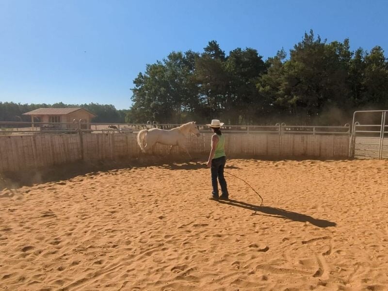 personne effectuant un cours western