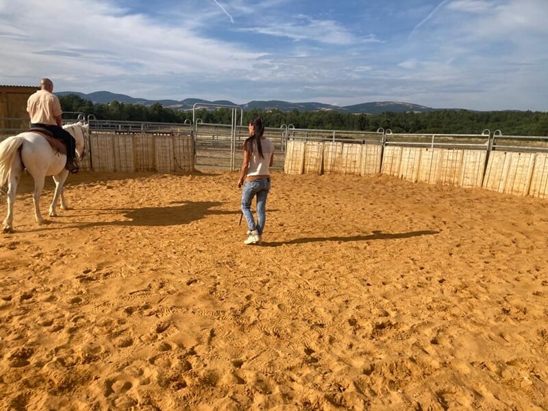 personne effectuant un cours western à cheval