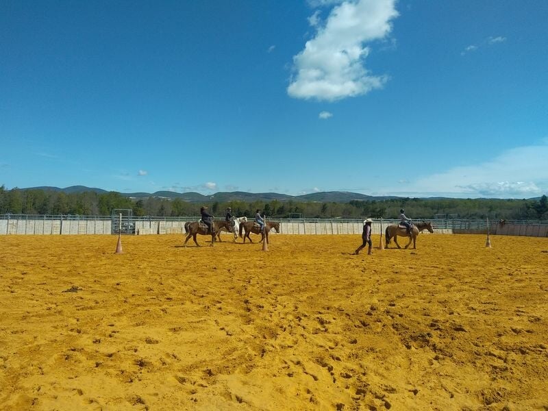 cours western à cheval