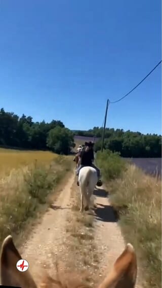 Balade à Cheval et Cours Western près du Mont Ventoux