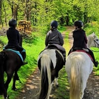 avis Balade à Cheval près de Guingamp - Saint-Adrien