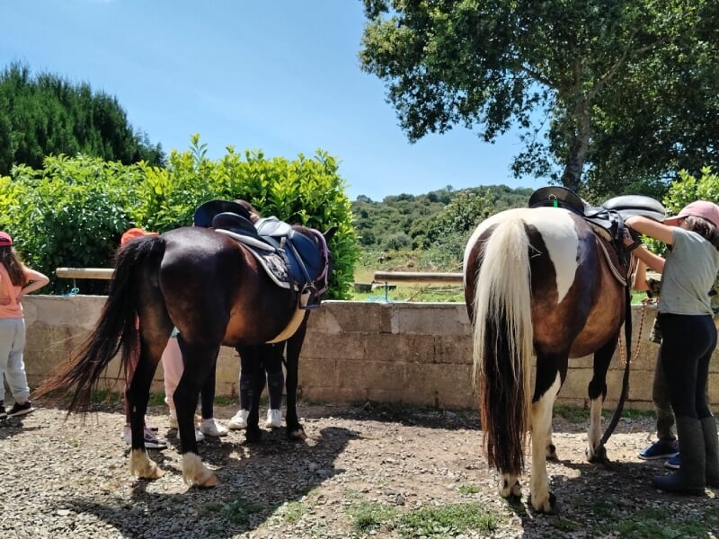 Des cavaliers préparent leurs chevaux dans une zone de sellerie en plein air. Deux chevaux, un noir et un blanc et noir, sont attachés à une barrière en bois tandis que les cavaliers ajustent les sell