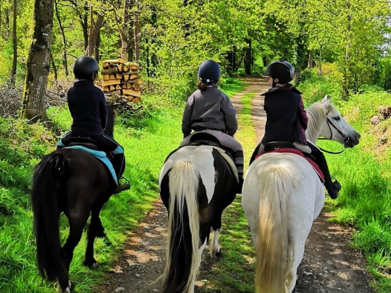 Trois cavaliers en balade à cheval sur un chemin forestier ensoleillé. Les chevaux sont de différentes couleurs, dont un blanc et noir, un noir, et un blanc. Les cavaliers portent des casques et des v