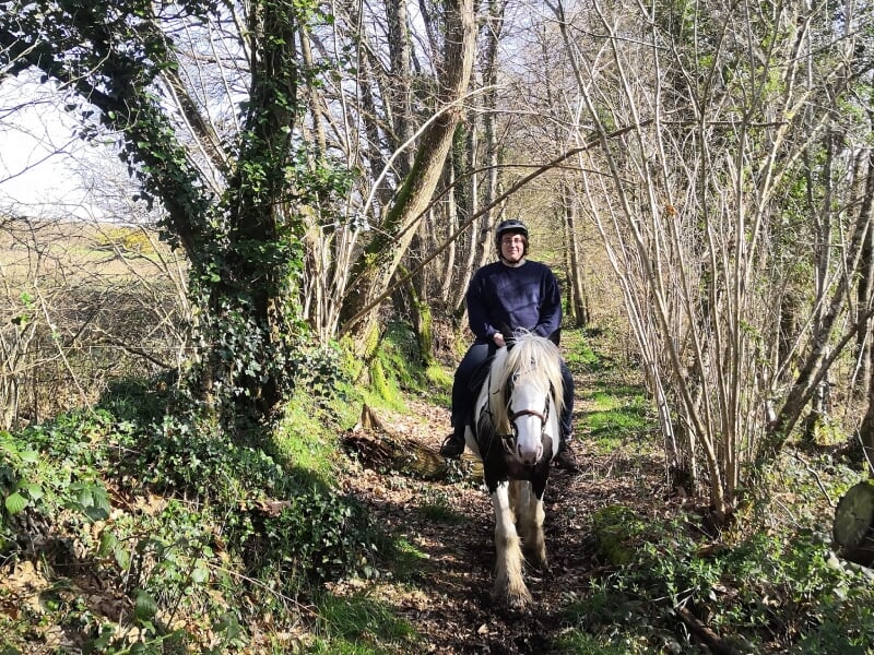 Un cavalier solitaire sur un cheval blanc et noir, traversant un sentier étroit entouré de buissons et d'arbres en hiver. Le cavalier porte un casque et un pull noir, et semble apprécier la promenade 