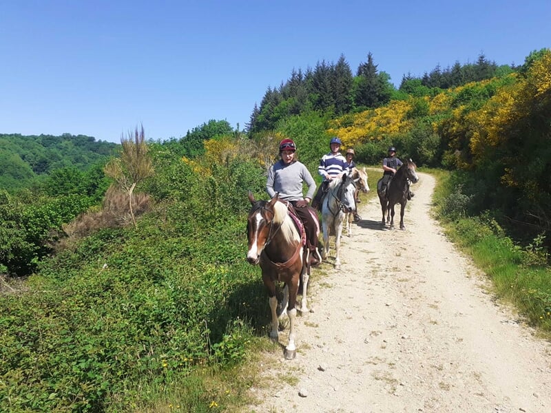 Groupe de personne en randonnée à cheval