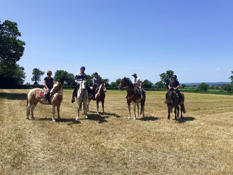 Groupe de personne à cheval dans un pré