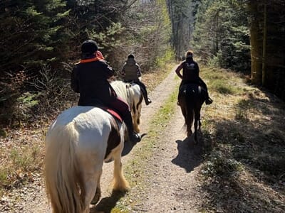 Balade à Cheval près d'Haguenau