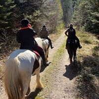 avis Balade à Cheval près d'Haguenau