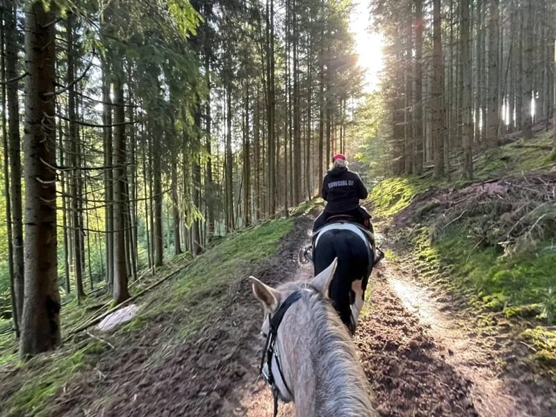 Balade à cheval dans la forêt