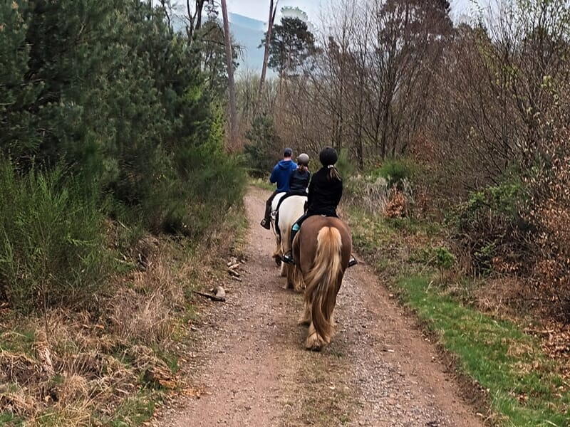 Trois cavaliers progressant en file indienne sur un chemin de terre entouré de pins et d’arbustes.