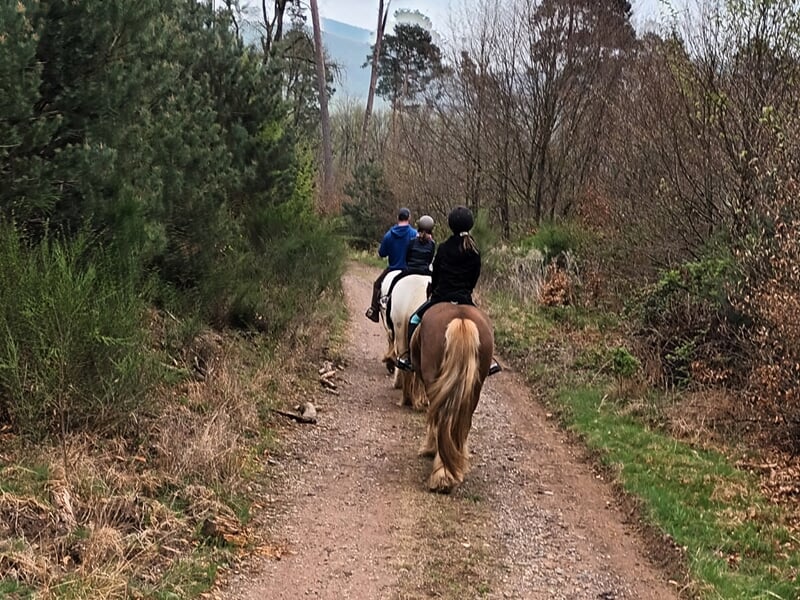 Trois cavaliers progressant en file indienne sur un chemin de terre entouré de pins et d’arbustes.