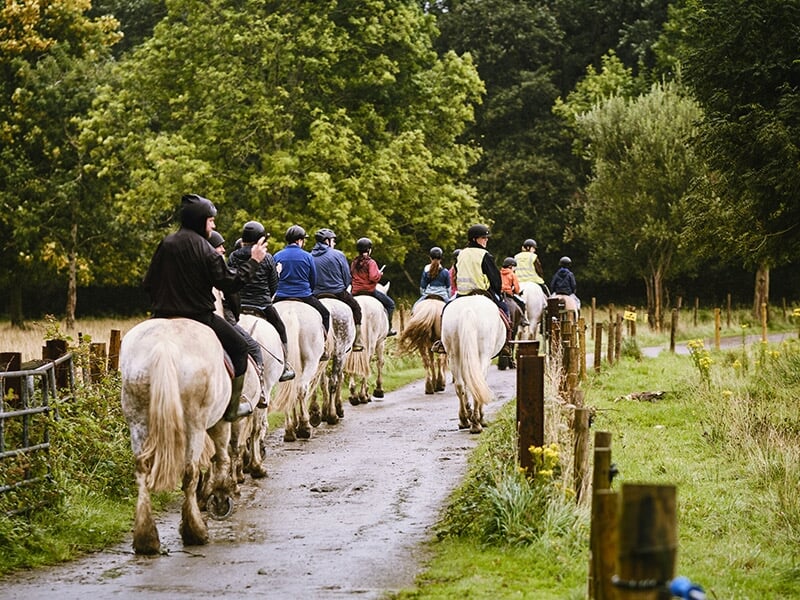 Groupe de cavaliers montant des chevaux blancs sur un sentier bordé de clôtures et de verdure, en plein air.