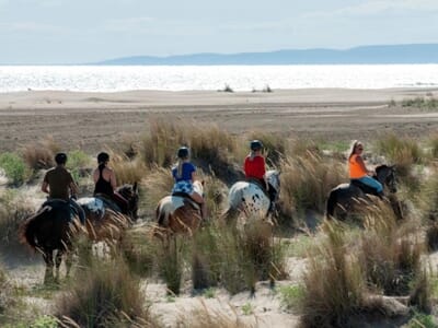 Balade à Cheval au Grau-du-Roi - Camargue