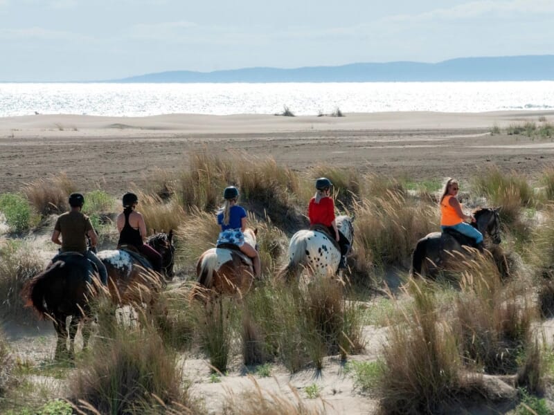 Cavalières et cavaliers chevauchant le long de la plage, vue sur la mer scintillante à l'arrière-plan, avec des touffes d'herbe dispersées sur le sable