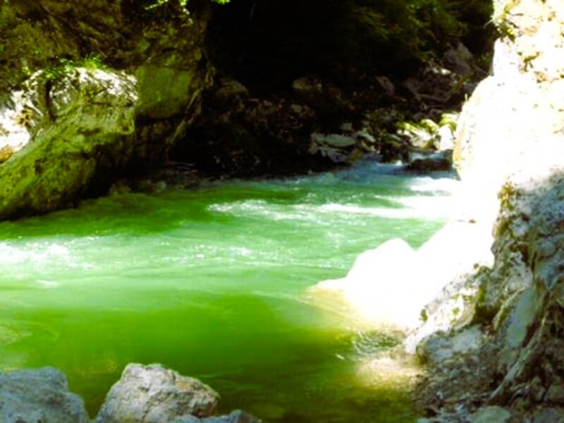 Les eaux vertes d'un torrent de montagne coulant entre deux falaises calcaires abruptes
