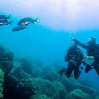 avis Baptême de Plongée à Menton